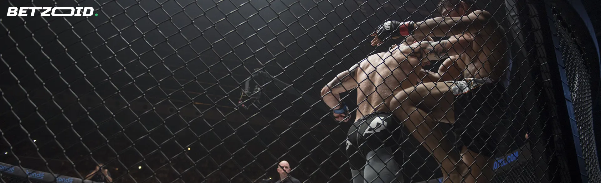 UFC fighters fight in the cage.