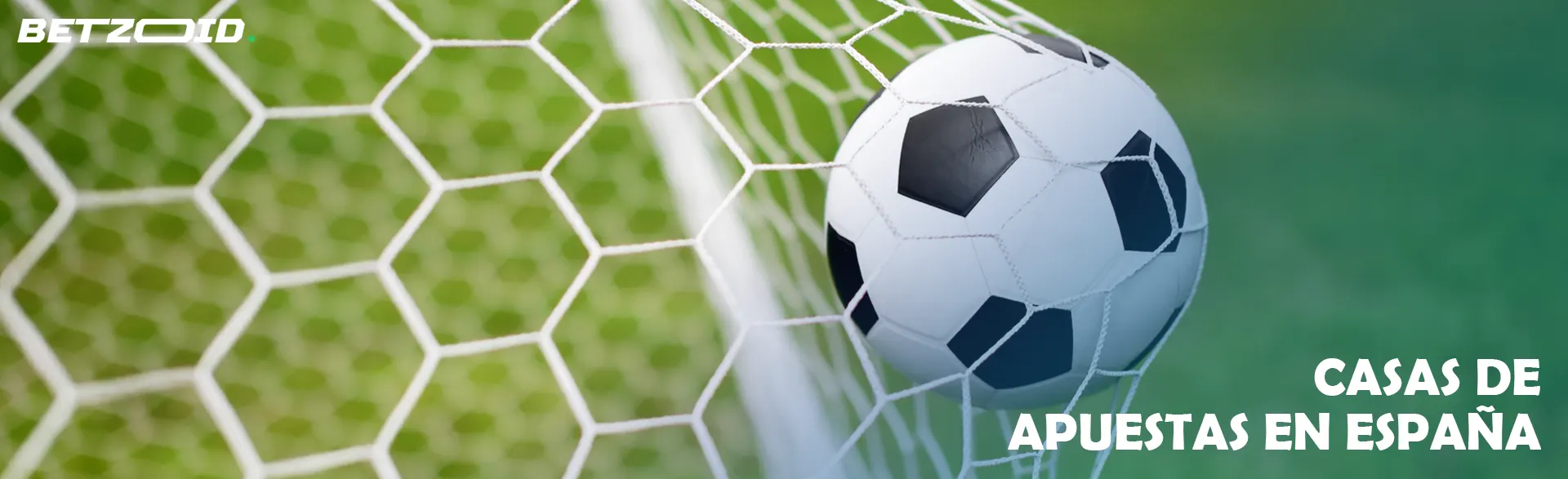 El balón de fútbol entró volando en la portería.