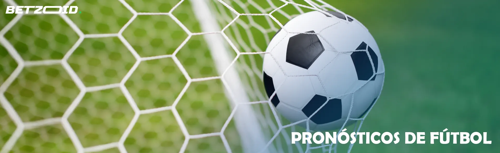 El balón de fútbol entró volando en la portería.