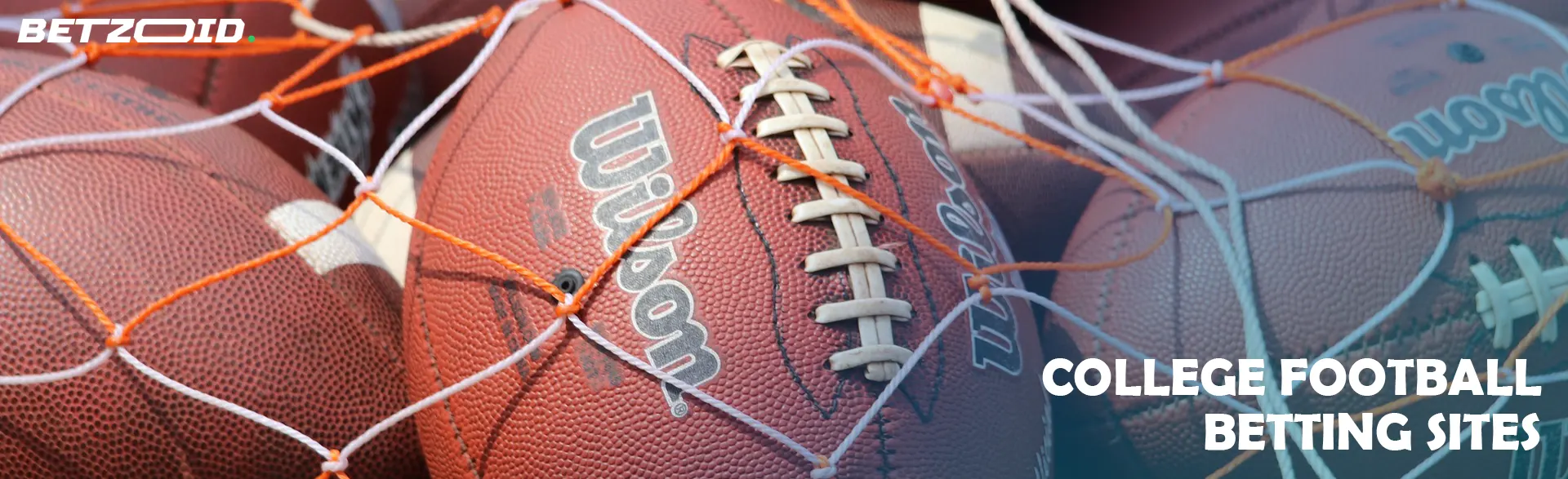American football balls in a net.