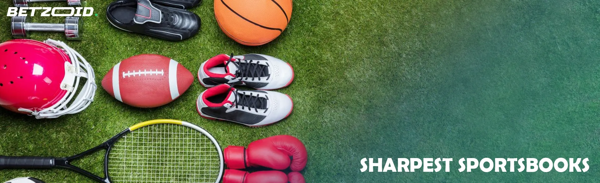Various sports equipment on the grass.