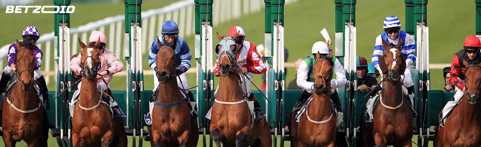 Des jockeys à cheval se tiennent au départ des courses.