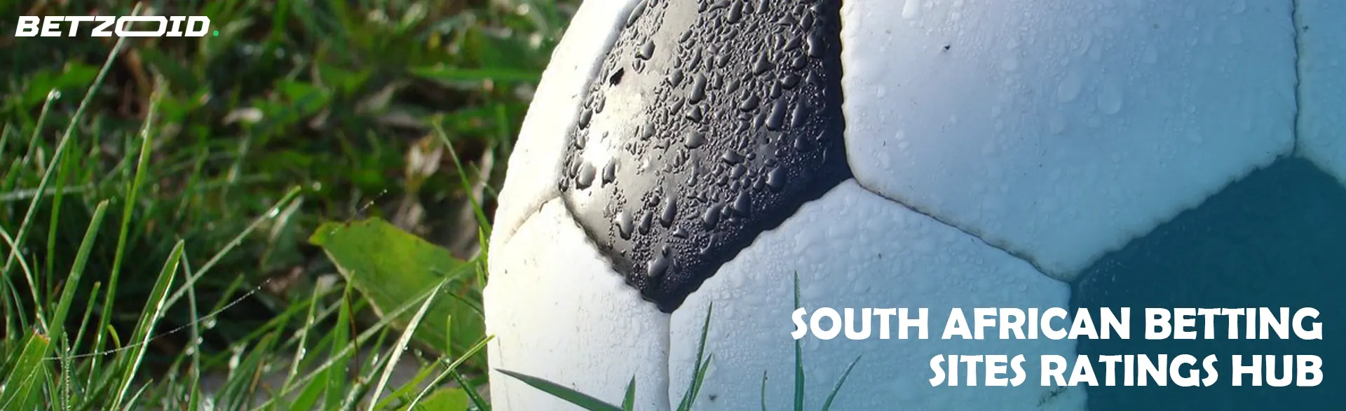 Soccer ball on the grass.