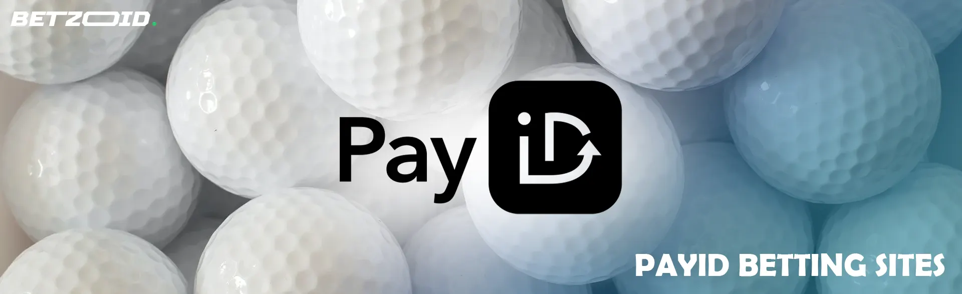 PayID logo against a background of baseballs.