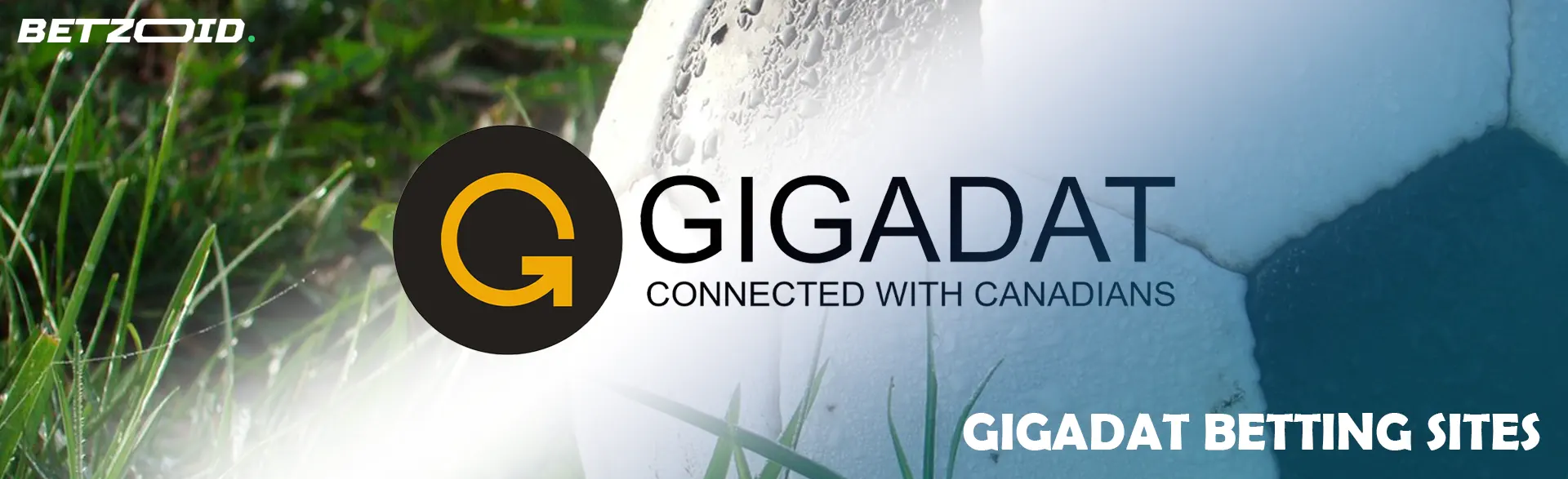 Gigadat logo against the background of a soccer ball.