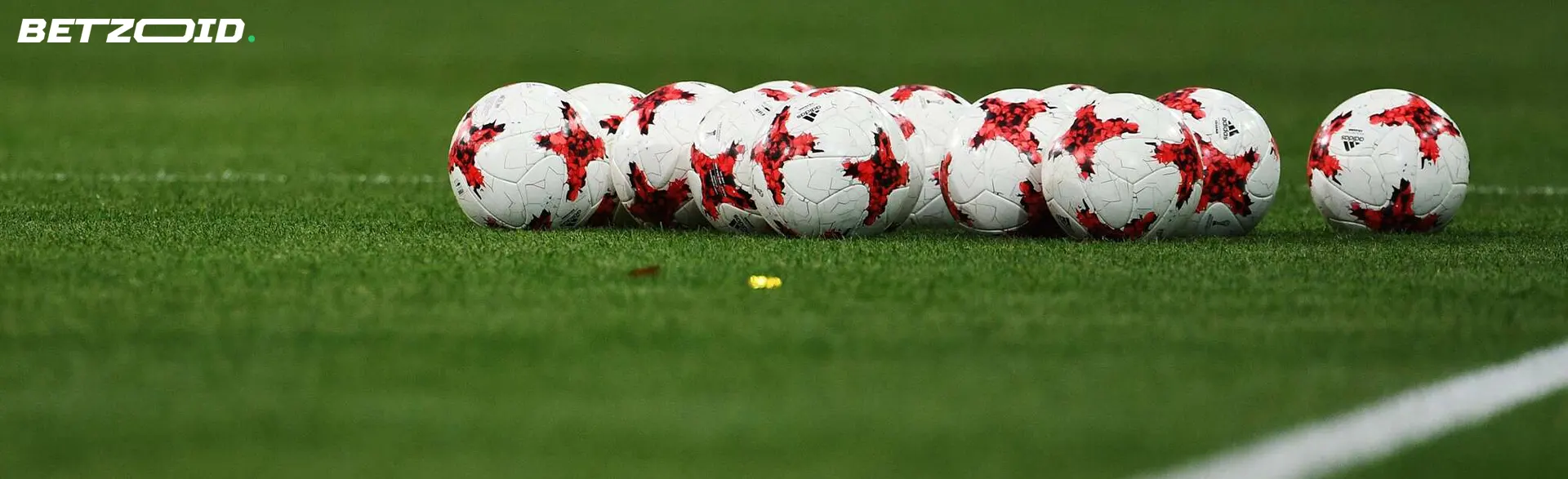 Soccer balls are lying on the grass.