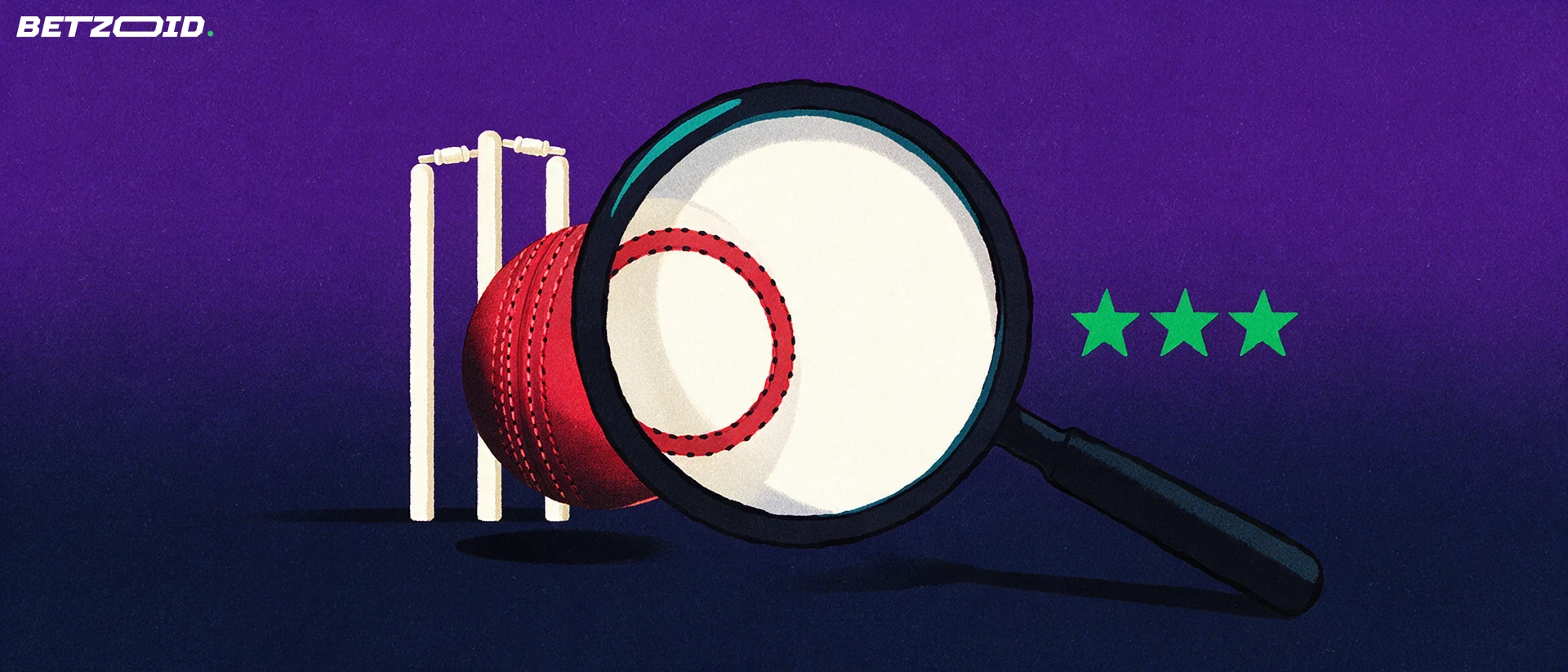 Illustration of a magnifying glass inspecting a cricket ball in front of stumps, with three stars beside the lens.